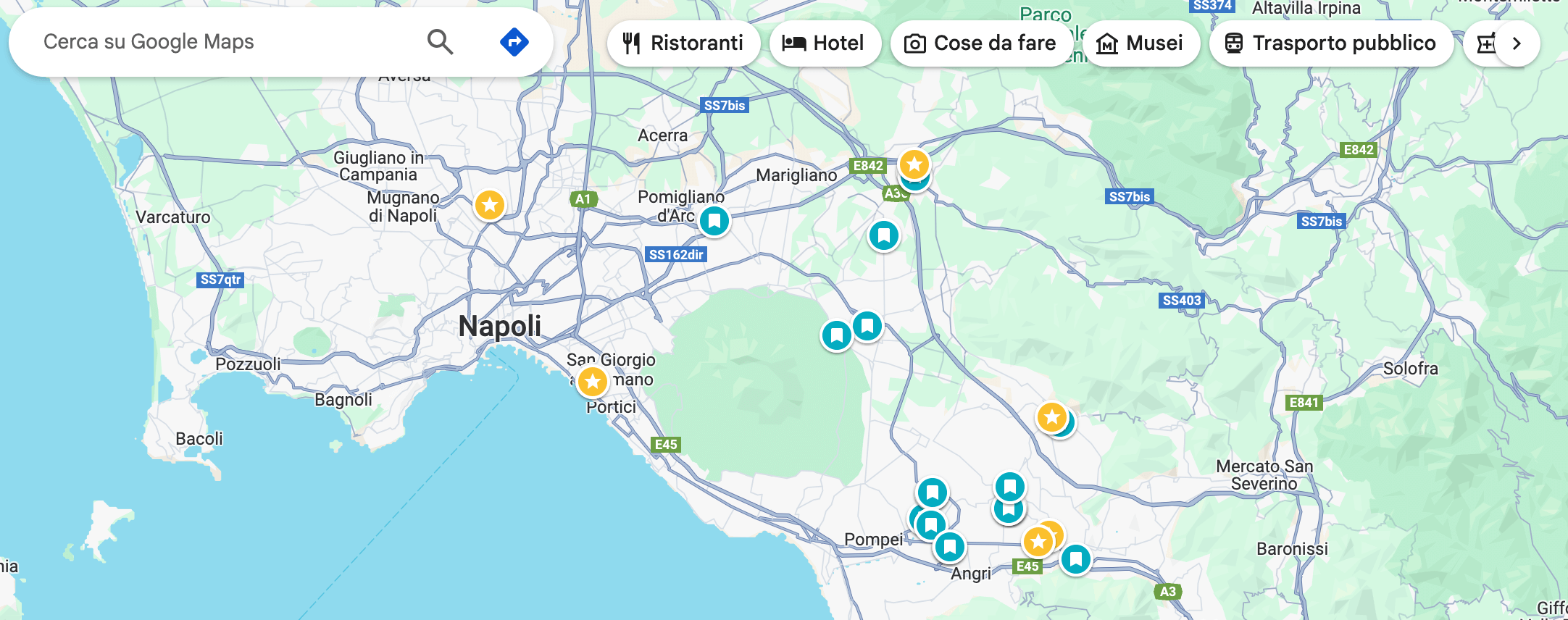Cerca in Google Maps